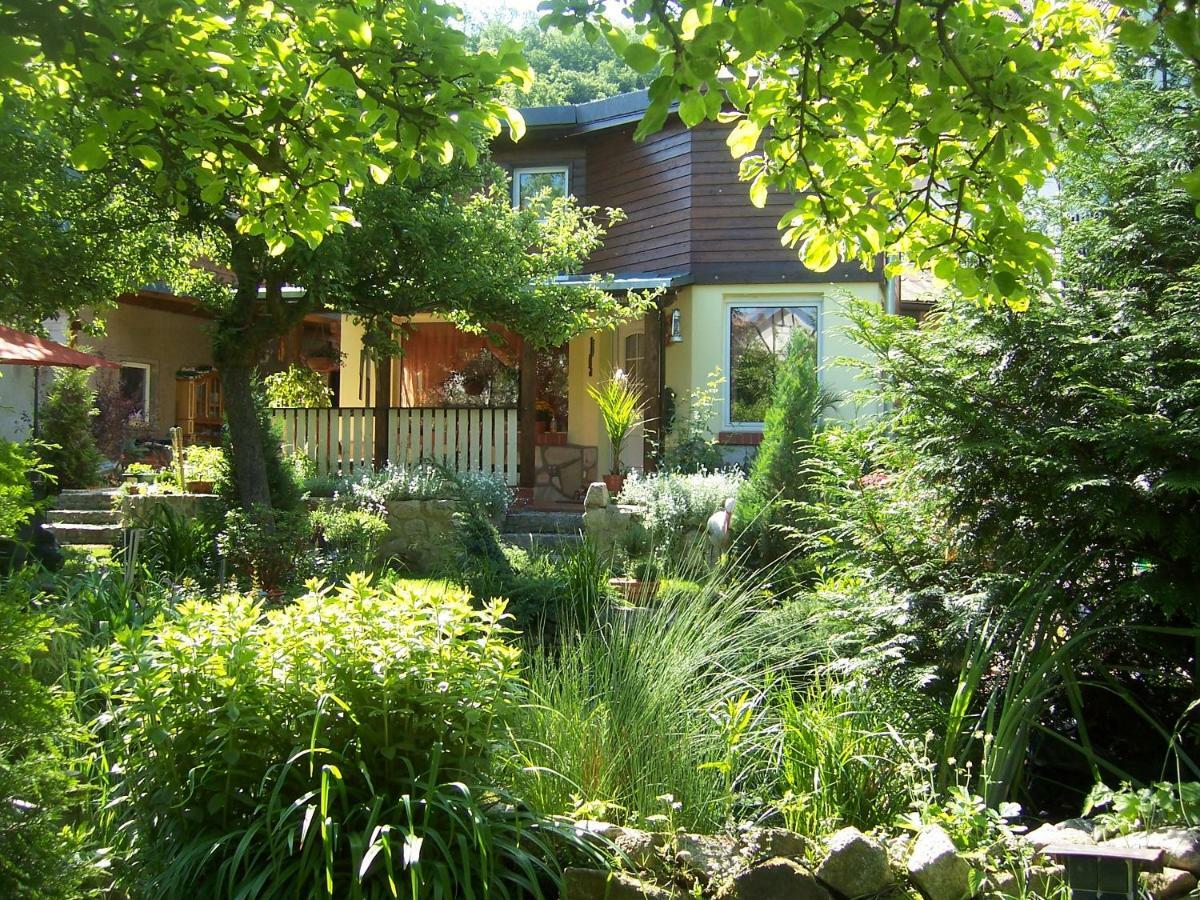 Ferienhaus Hagenwinkel Gernrode  Extérieur photo